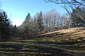 p1050465.jpg
