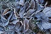 p1050471.jpg