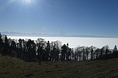 p1050472.jpg