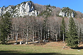 p1050486.jpg