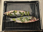 img_4586.jpeg