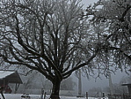 img_4588.jpeg