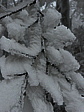 img_4591.jpeg