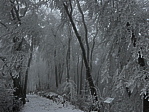 img_4592.jpeg