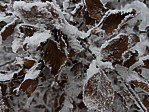 img_4593.jpeg