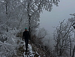 img_4594.jpeg