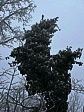 img_4595.jpeg