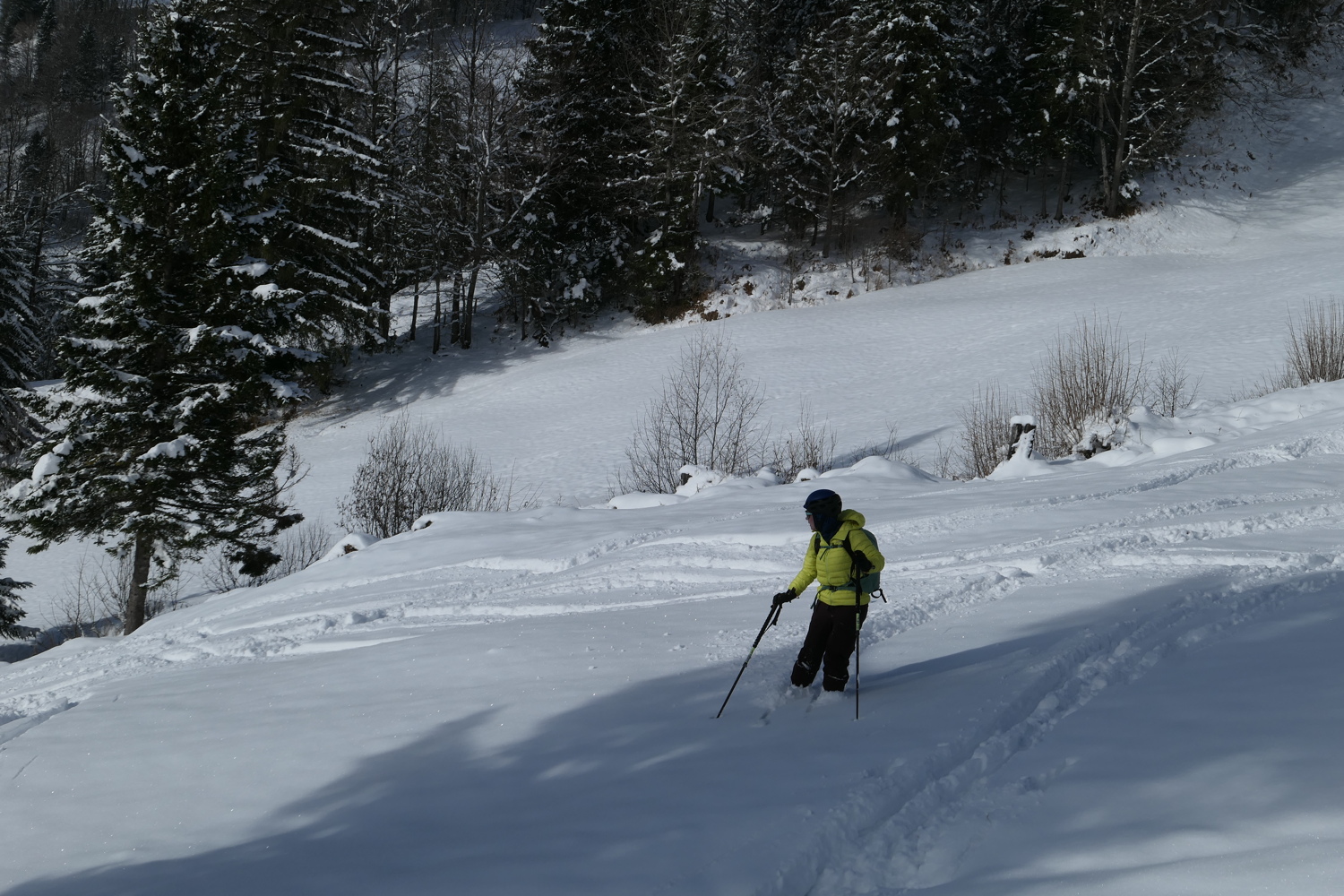 p1050363.jpg