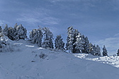 p1050347.jpg