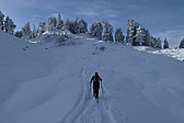 p1050348.jpg