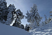 p1050350.jpg
