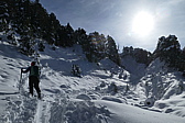 p1050352.jpg