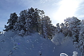 p1050353.jpg