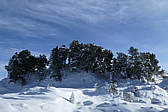 p1050354.jpg