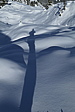 p1050355.jpg