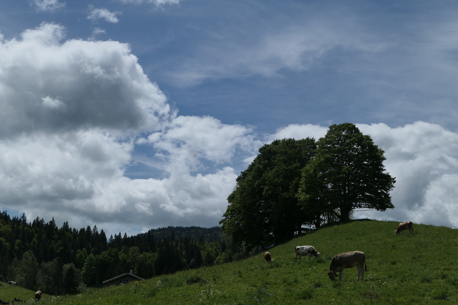 p1020168.jpg