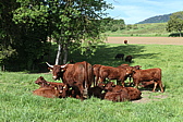 p1020163.jpg