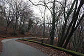 p1050508.jpg