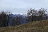 p1050526.jpg