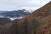 p1050552.jpg
