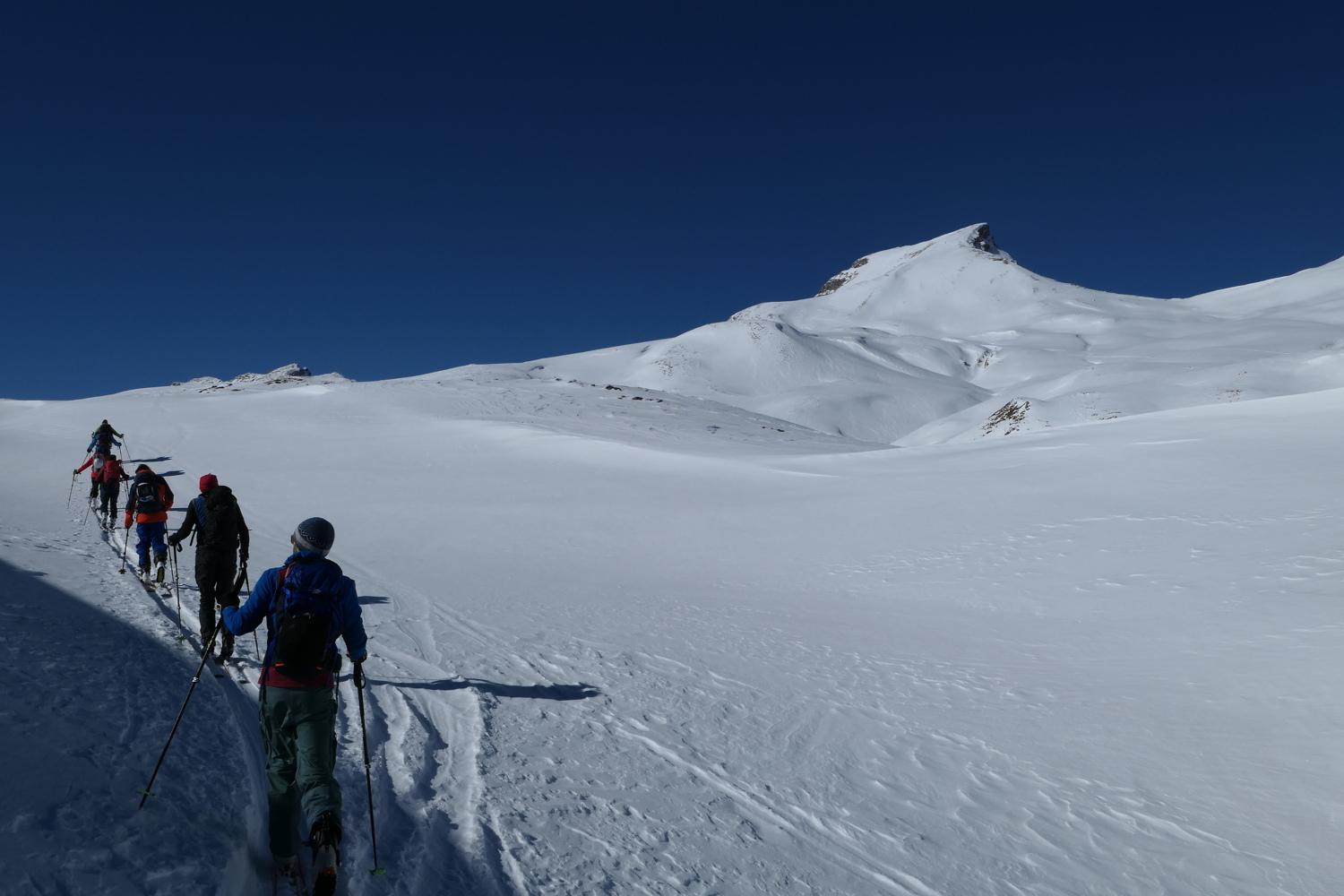 p1010428.jpg