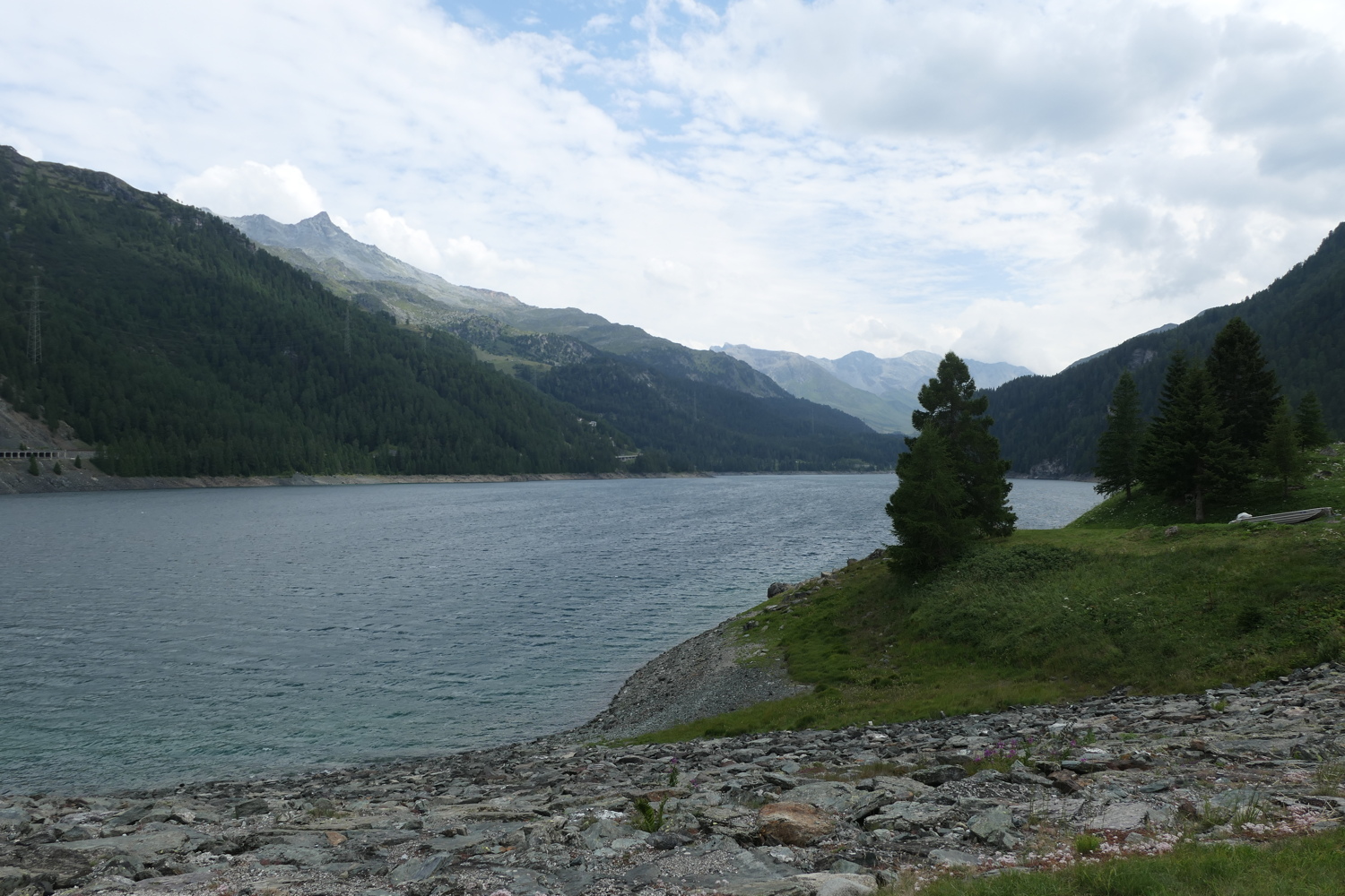 p1020949.jpg