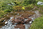 p1020946.jpg