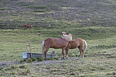 p1030197.jpg