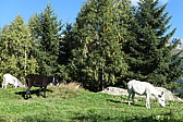 p1030614.jpg
