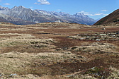 p1030620.jpg