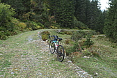 p1030651.jpg