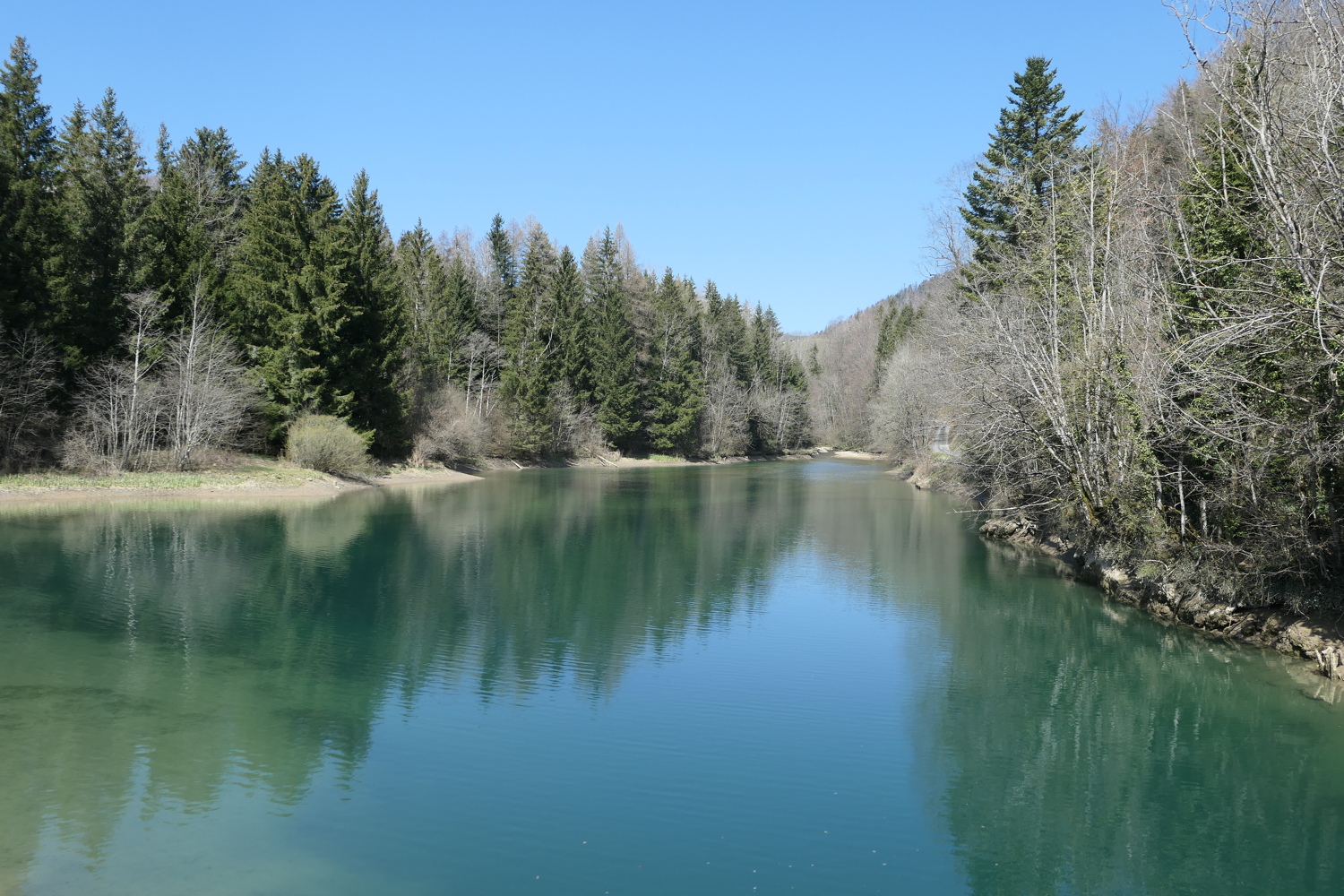 p1010768.jpg