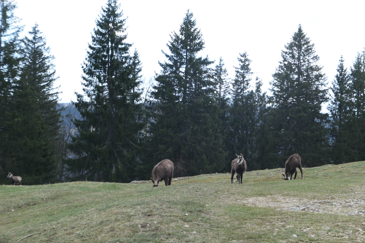 p1010775.jpg