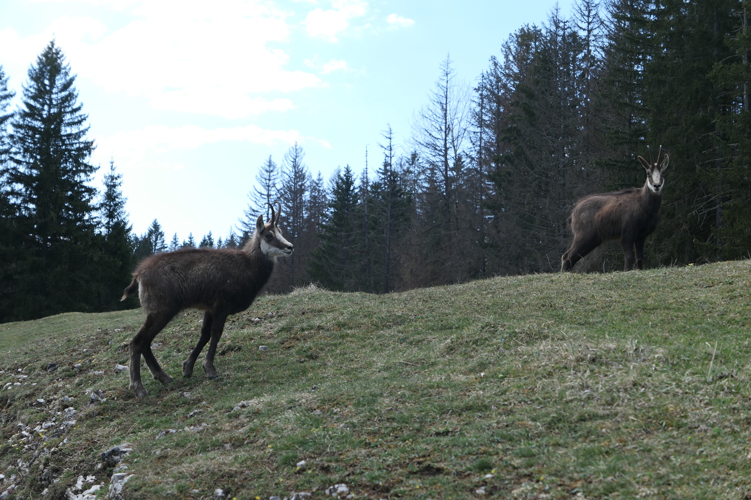 p1010778.jpg