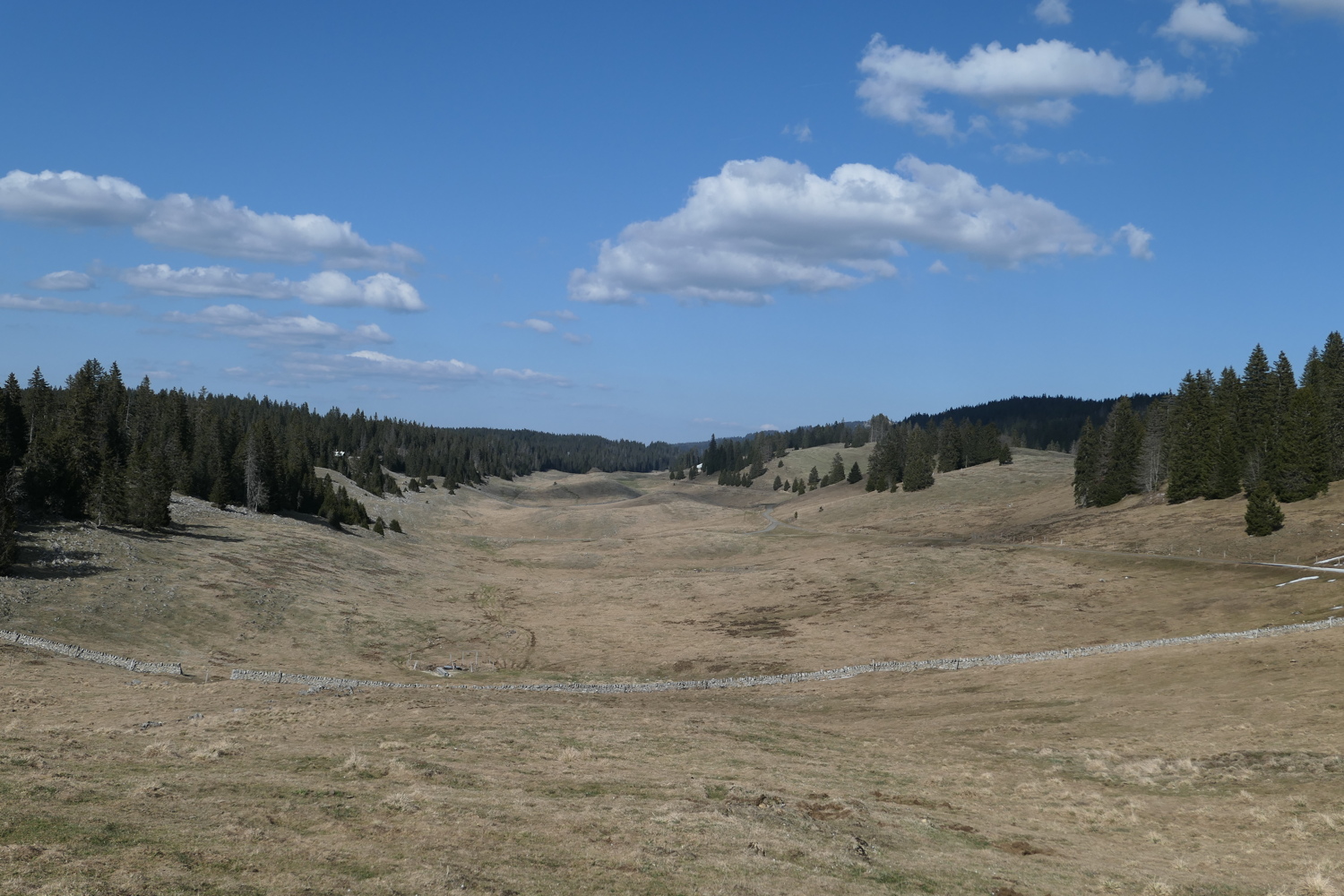 p1010797.jpg