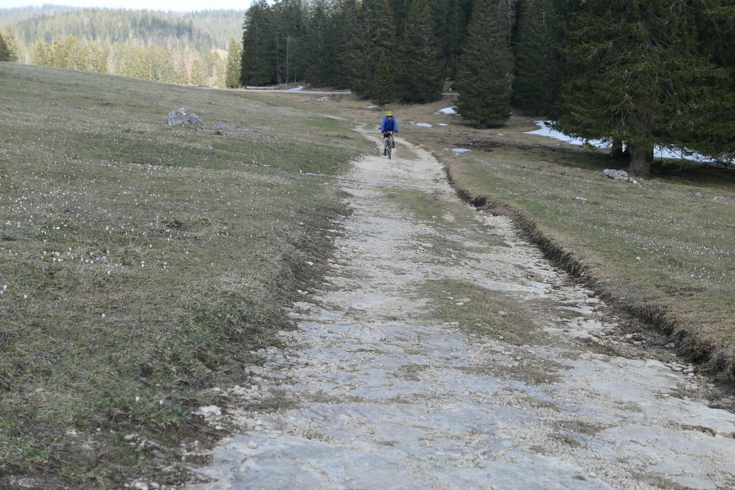 p1010798.jpg
