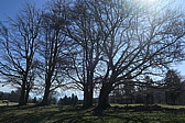 p1010756.jpg