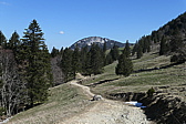 p1010759.jpg
