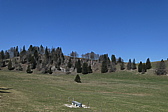 p1010763.jpg