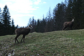 p1010778.jpg