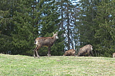 p1010780.jpg