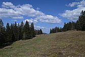 p1010785.jpg