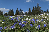 p1010790.jpg