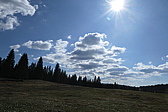 p1010792.jpg