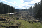 p1010799.jpg