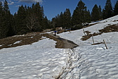 p1010805.jpg