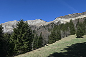 p1010809.jpg