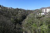 p1010819.jpg