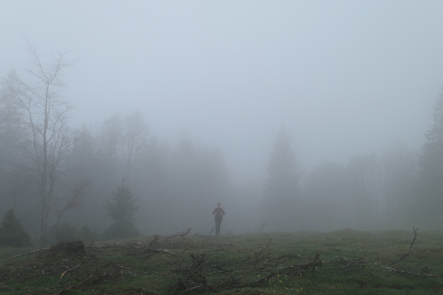 p1010920.jpg