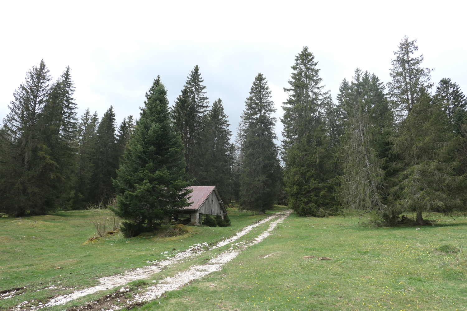 p1010950.jpg